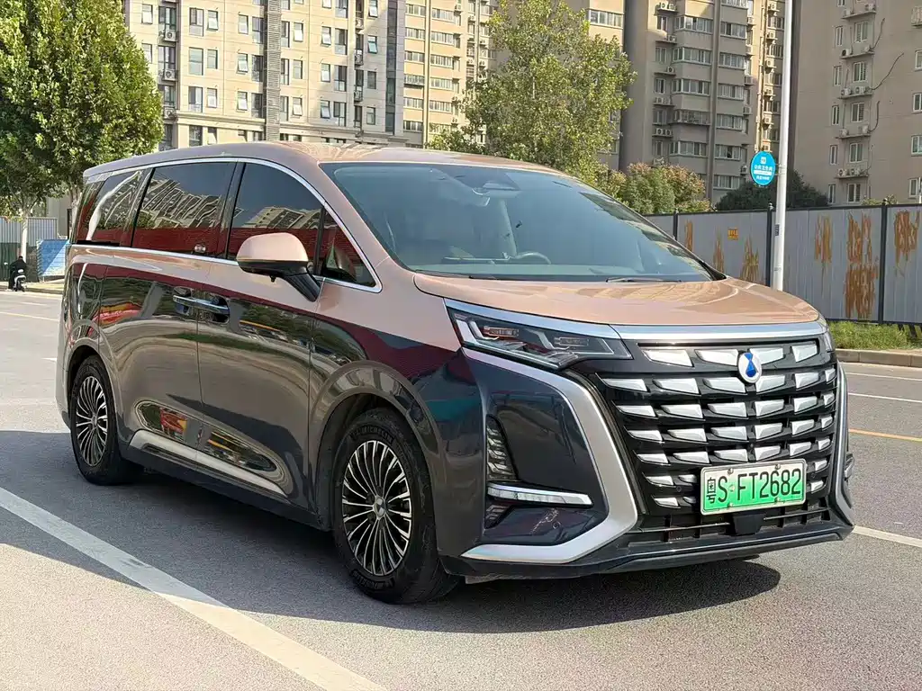 Denza Denza D9 — миниатюра 2