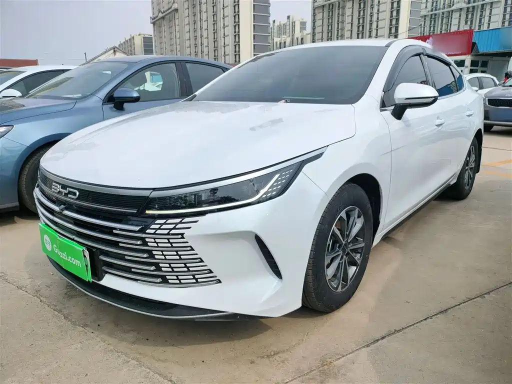 BYD Destroyer 05 2024 DM-i 55KM Luxury