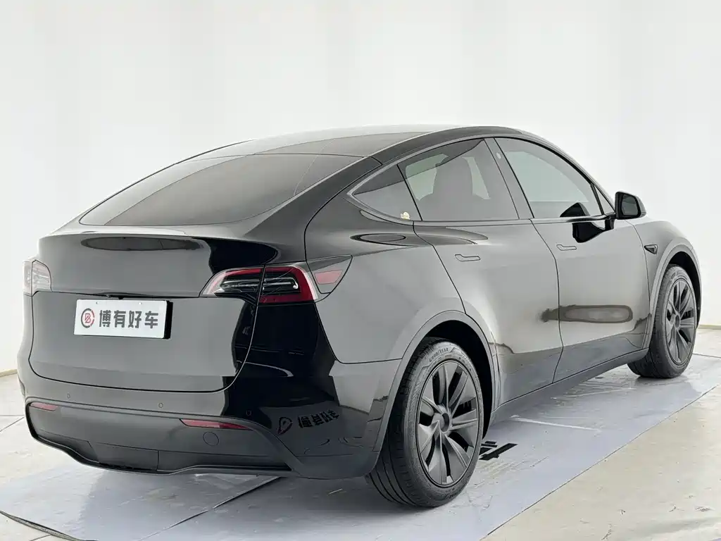 Tesla Model Y — миниатюра 8