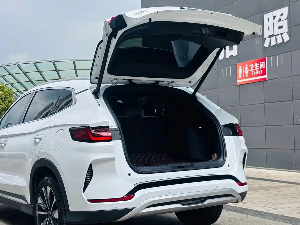 BYD PLUS New Energy — миниатюра 16