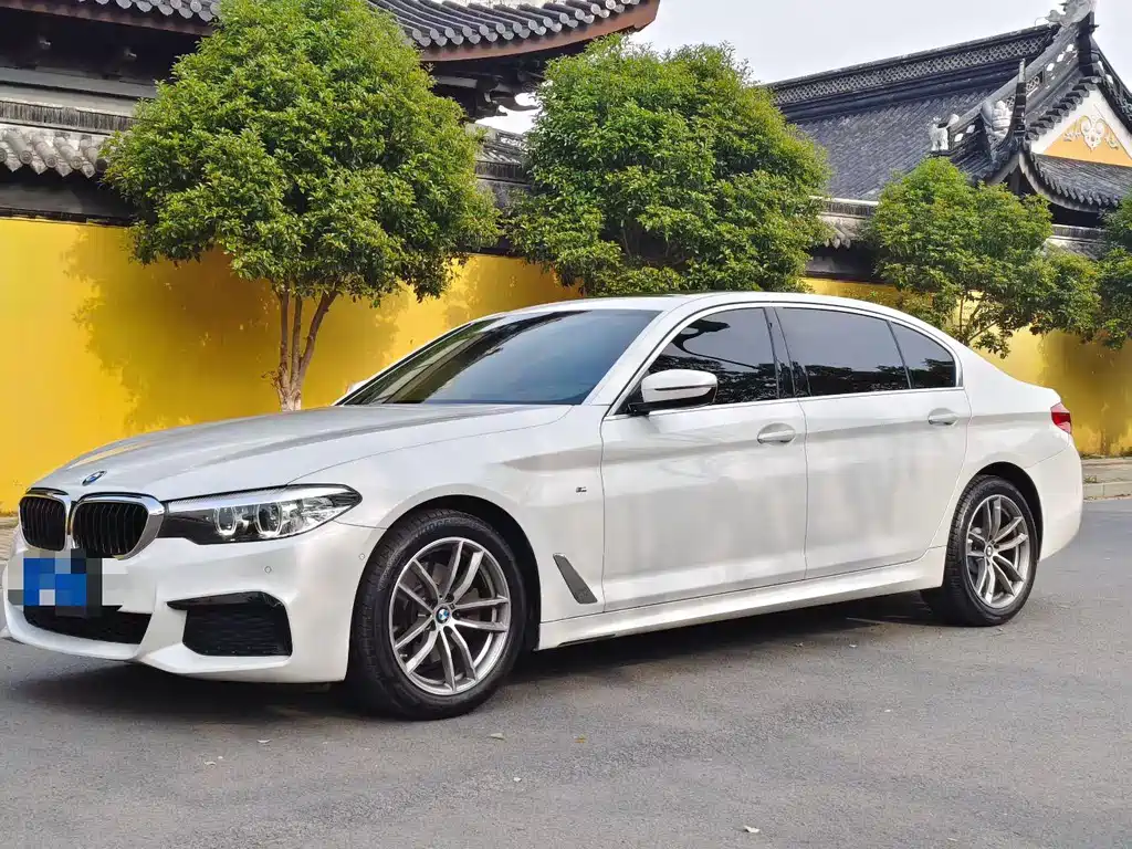 BMW 5 Series — миниатюра 2