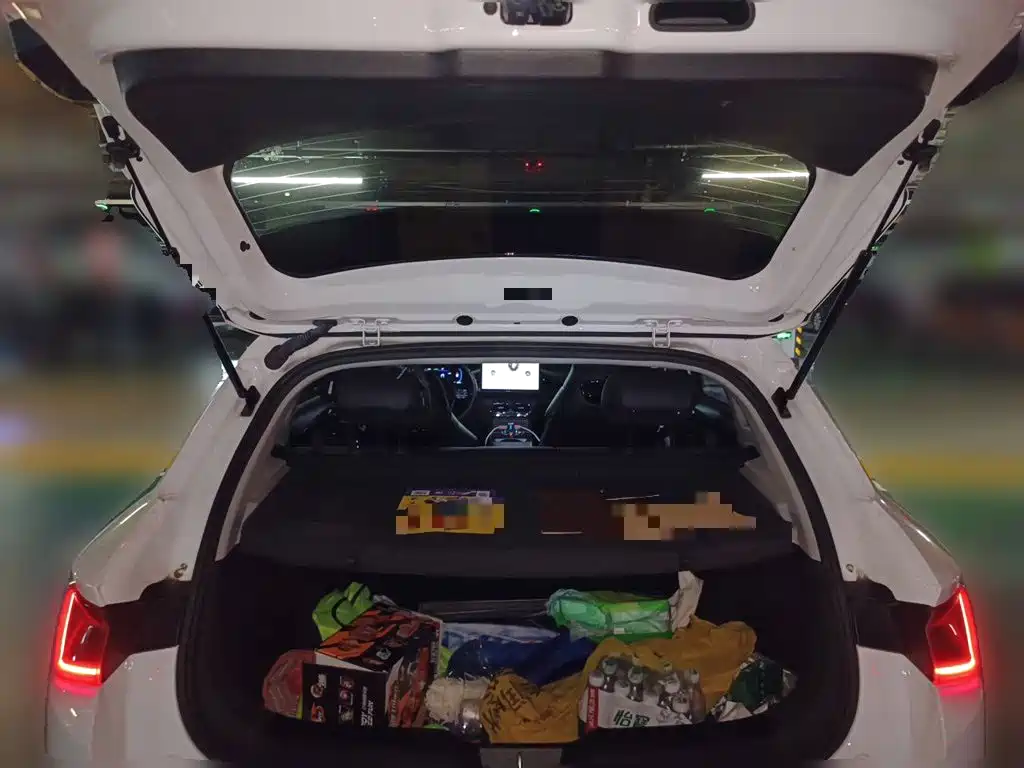 BYD e2 — миниатюра 15