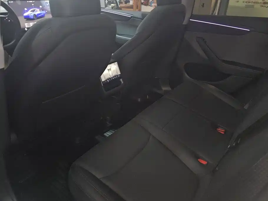 Tesla Model Y — миниатюра 11