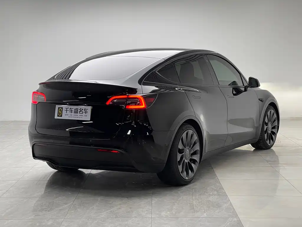Tesla Model Y — миниатюра 6