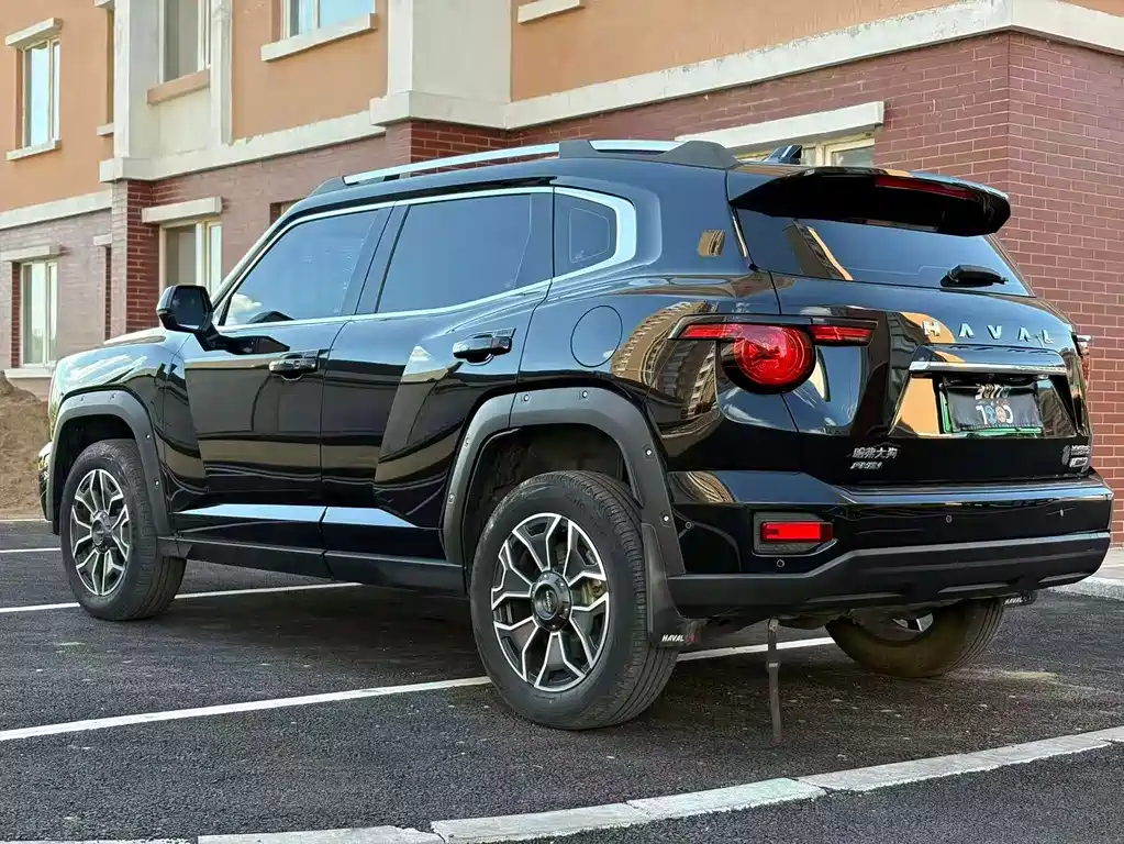 Haval Big Dog PLUS New Energy — миниатюра 9