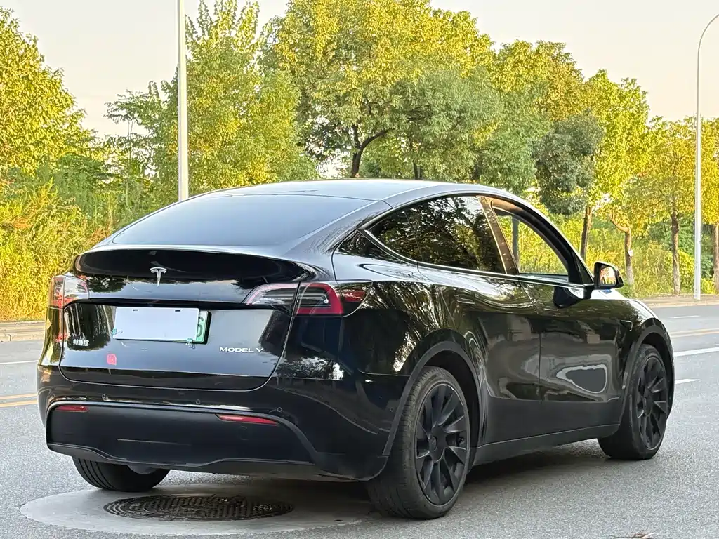 Tesla Model Y — миниатюра 9