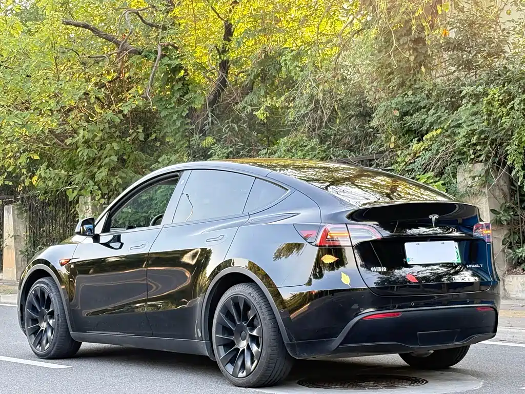Tesla Model Y — миниатюра 10