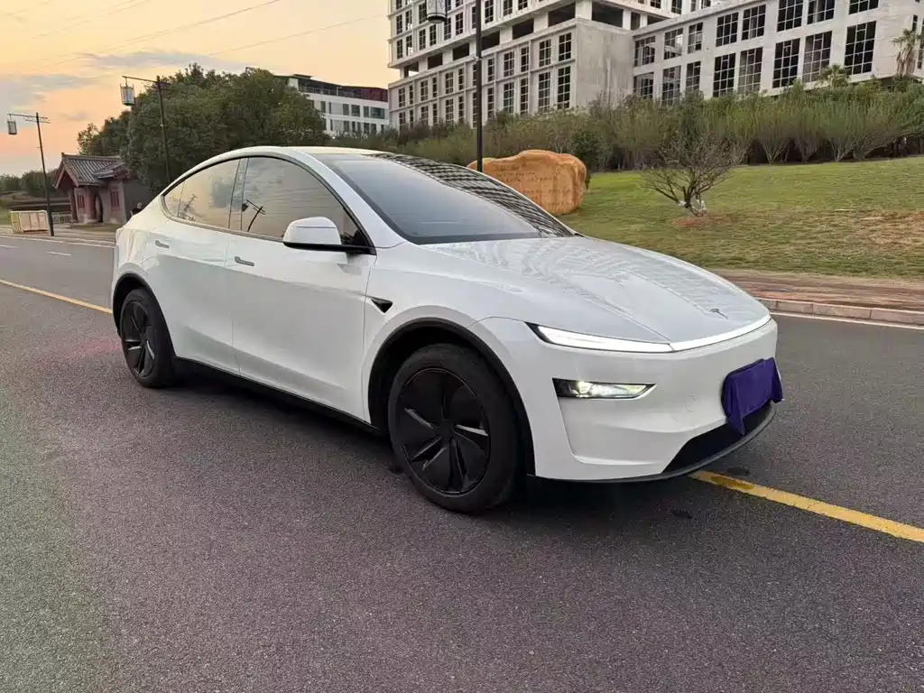 Tesla Model Y — миниатюра 3