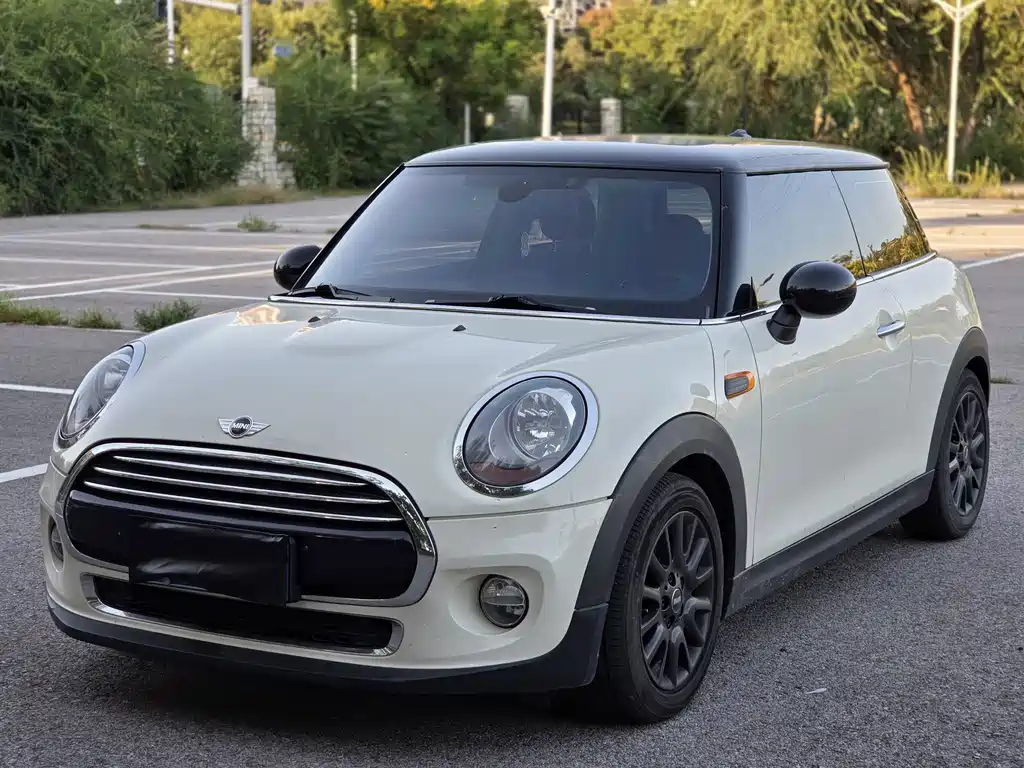 MINI
