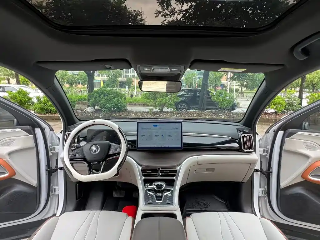 BYD Pro New Energy — миниатюра 5
