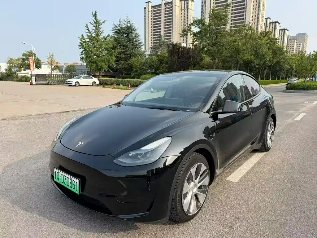 Tesla Model Y — миниатюра 3