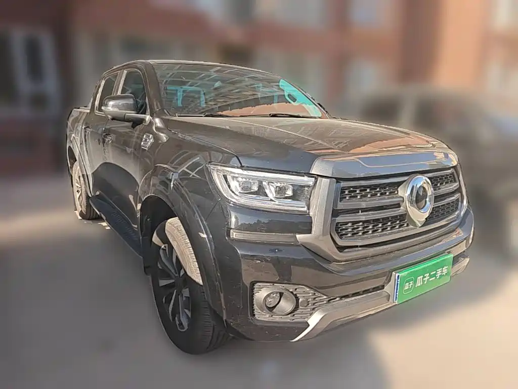 Great Wall Pao — миниатюра 24