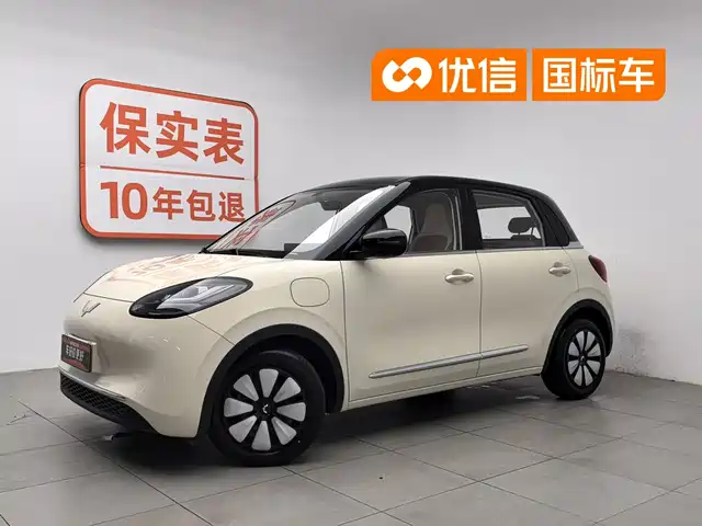2025 Wuling Motors Binguo
