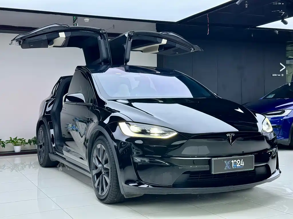 Tesla Model X — миниатюра 2