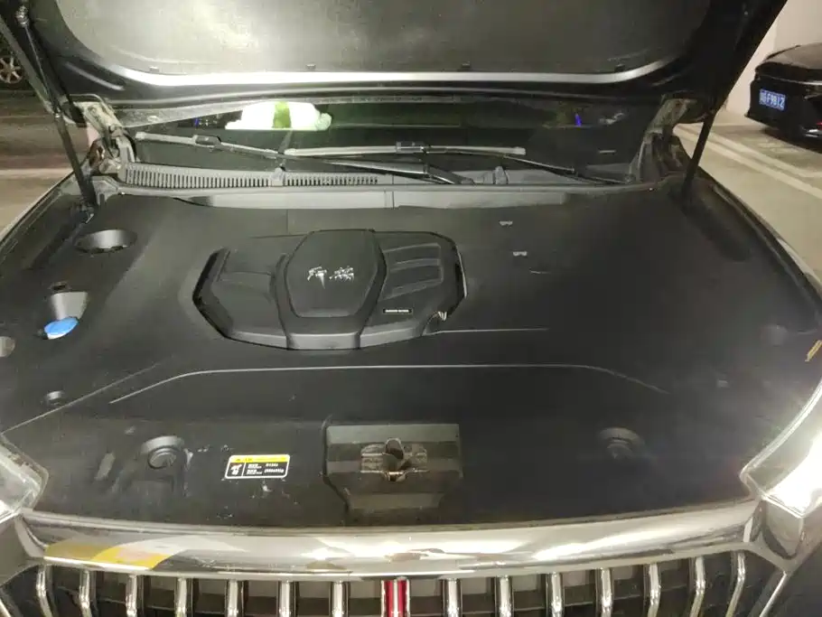 Hongqi HS5 2022 2.0T