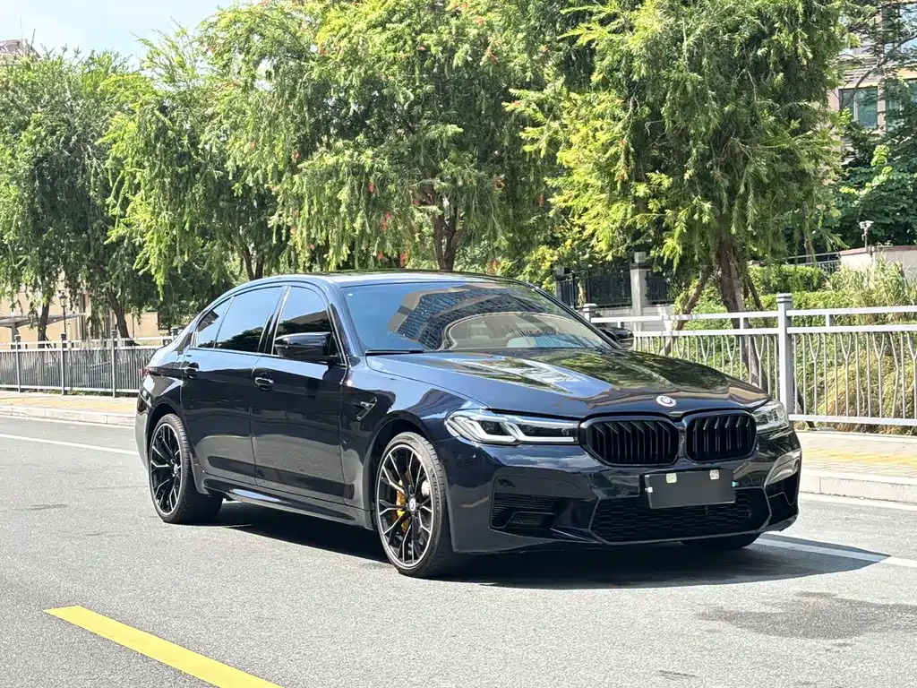 BMW 5 Series — миниатюра 3