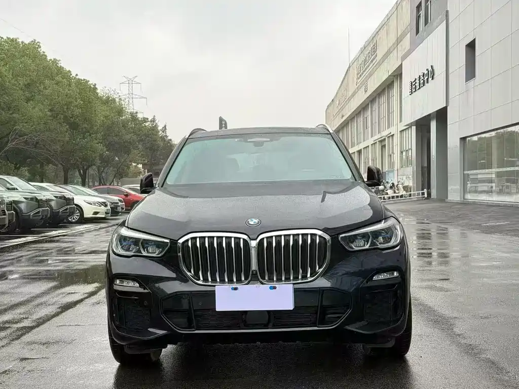 BMW X5 (Import) — миниатюра 2