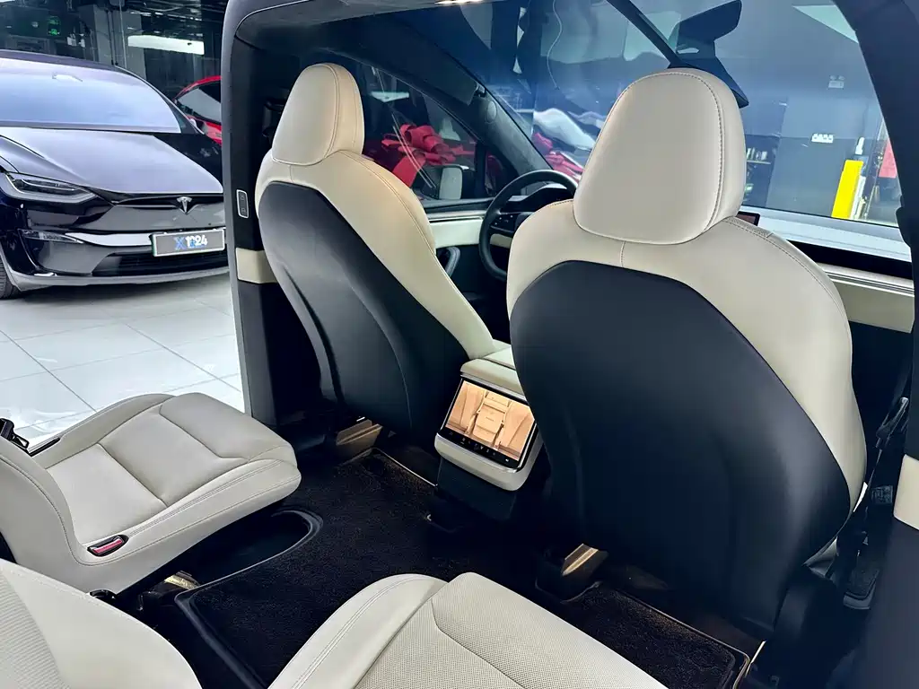 Tesla Model X — миниатюра 11