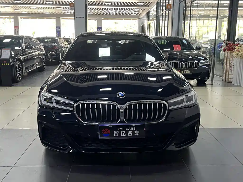 BMW 5 Series — миниатюра 2