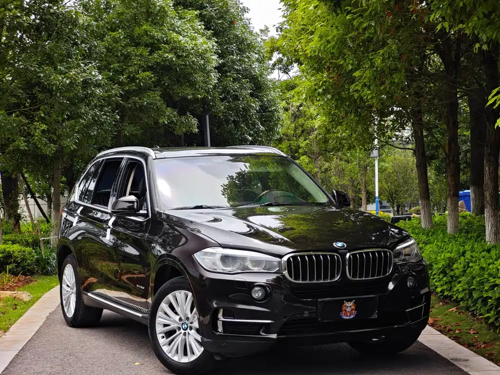 BMW X5 (Import) — миниатюра 3