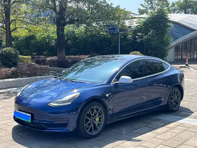 TESLA MODEL 3 2020