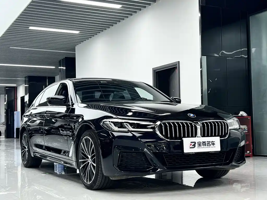 BMW 5 Series — миниатюра 3