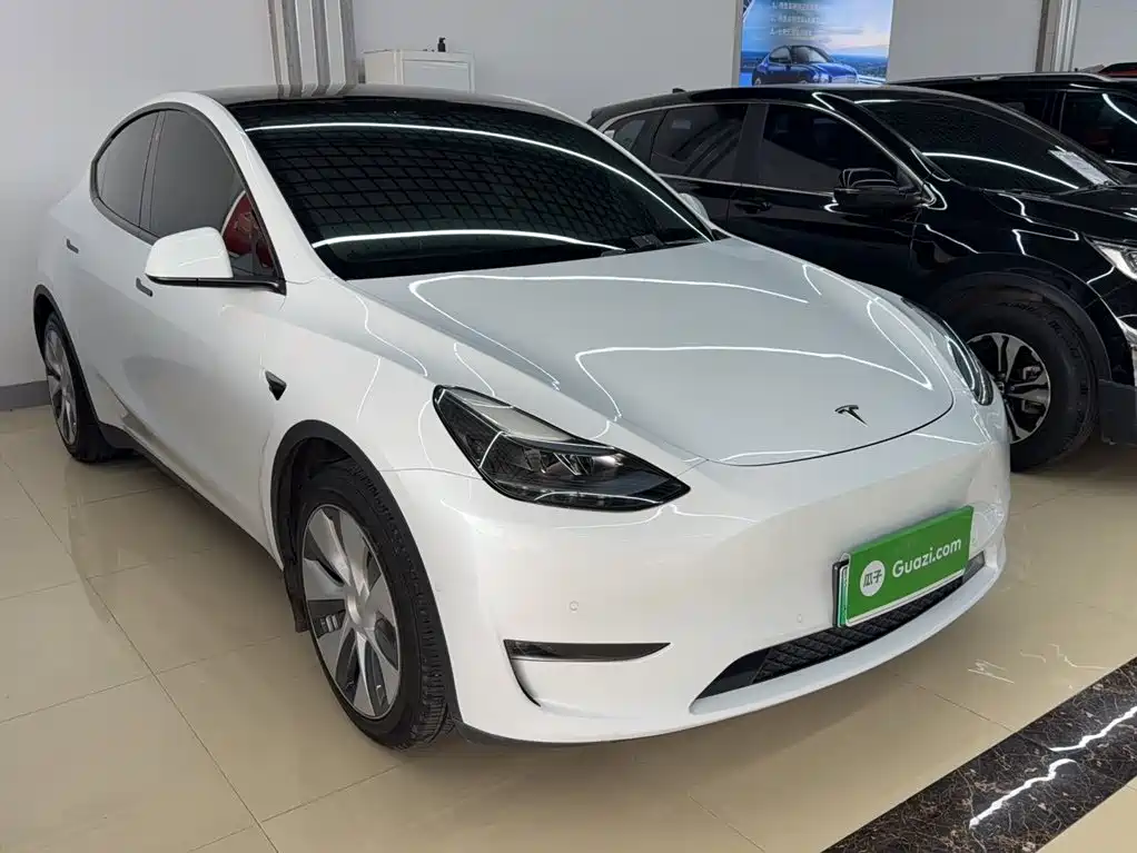 Tesla Model Y — миниатюра 4