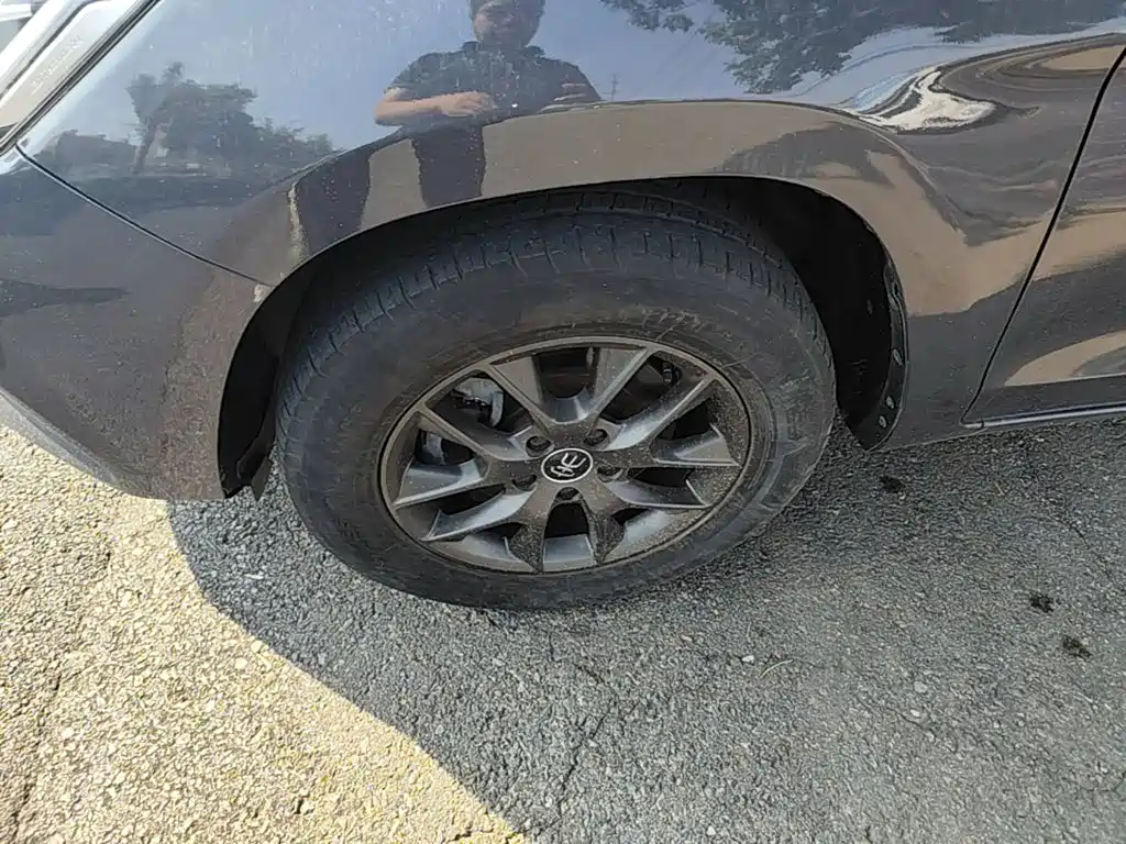 BYD Song — миниатюра 23