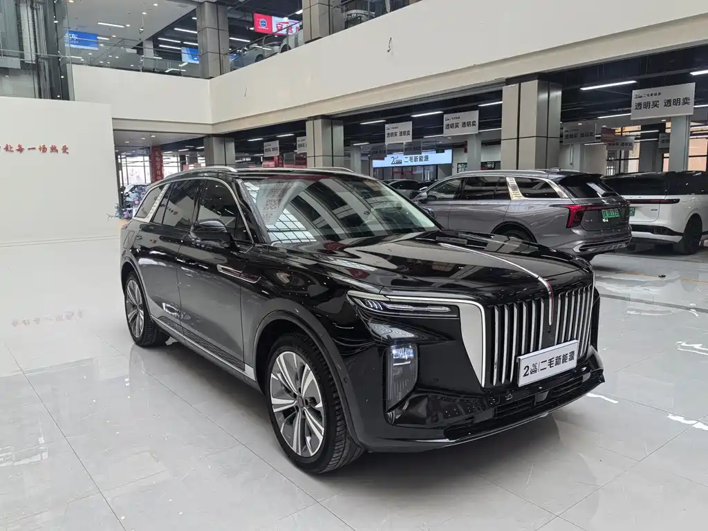 Hongqi E-HS9 2022 690km мест
