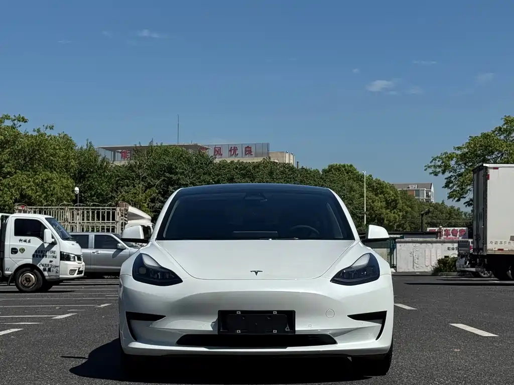 Tesla Model 3 — миниатюра 2