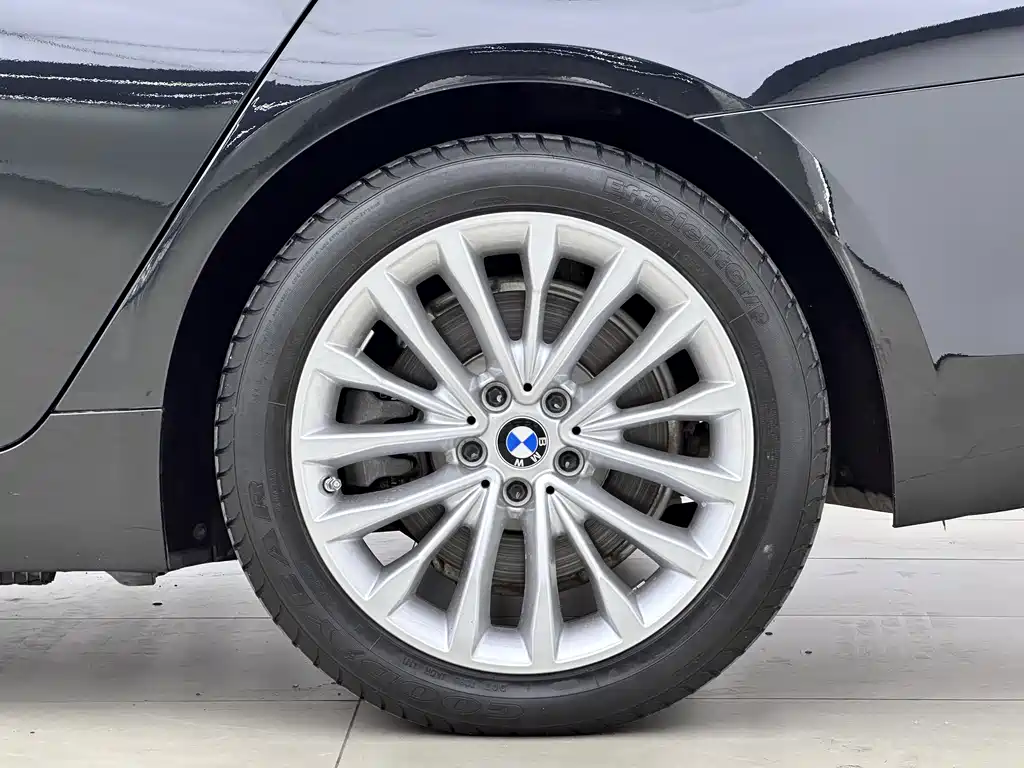 BMW 5 Series New Energy Mileage Upgrade Edition 530Le Luxury Package, фото 17
