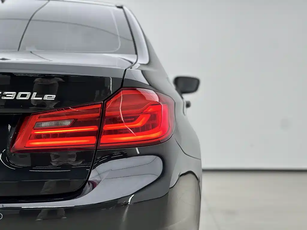 BMW 5 Series New Energy Mileage Upgrade Edition 530Le Luxury Package, фото 16