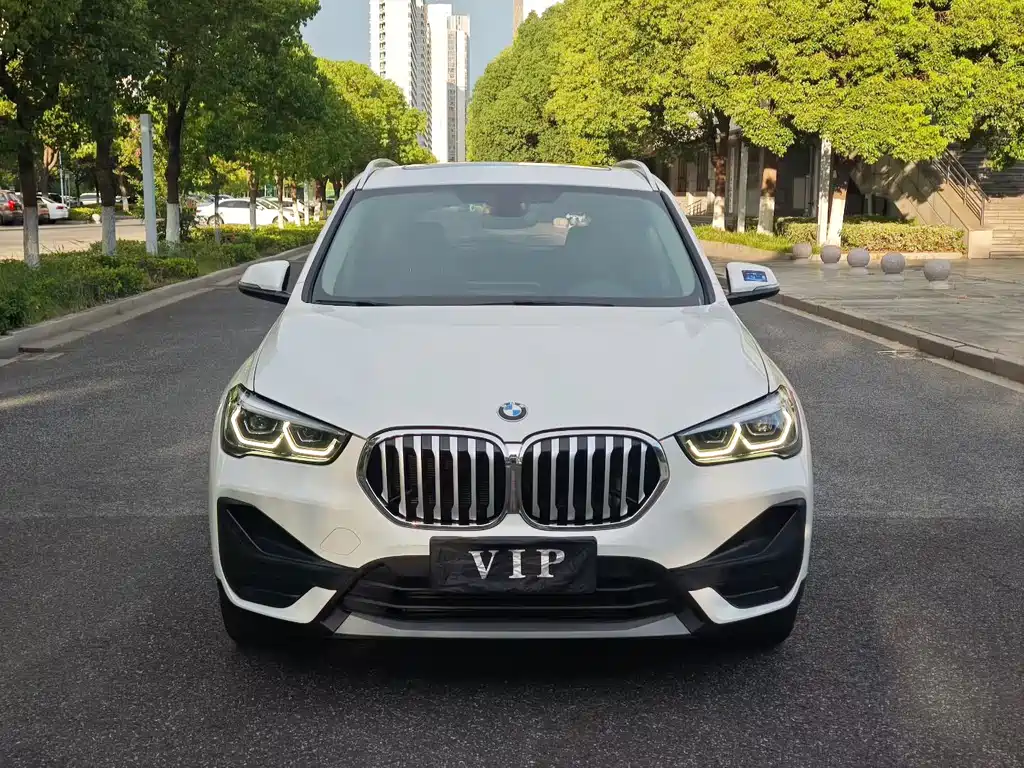 BMW X1 — миниатюра 2