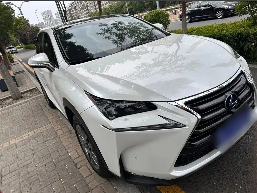 Lexus NX — миниатюра 10