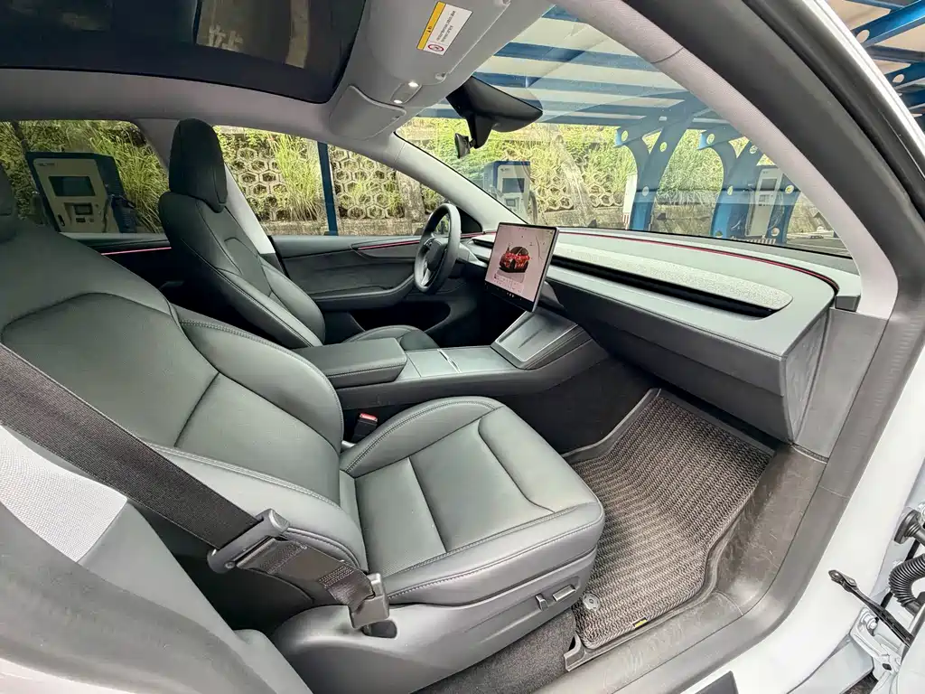Tesla Model Y — миниатюра 12