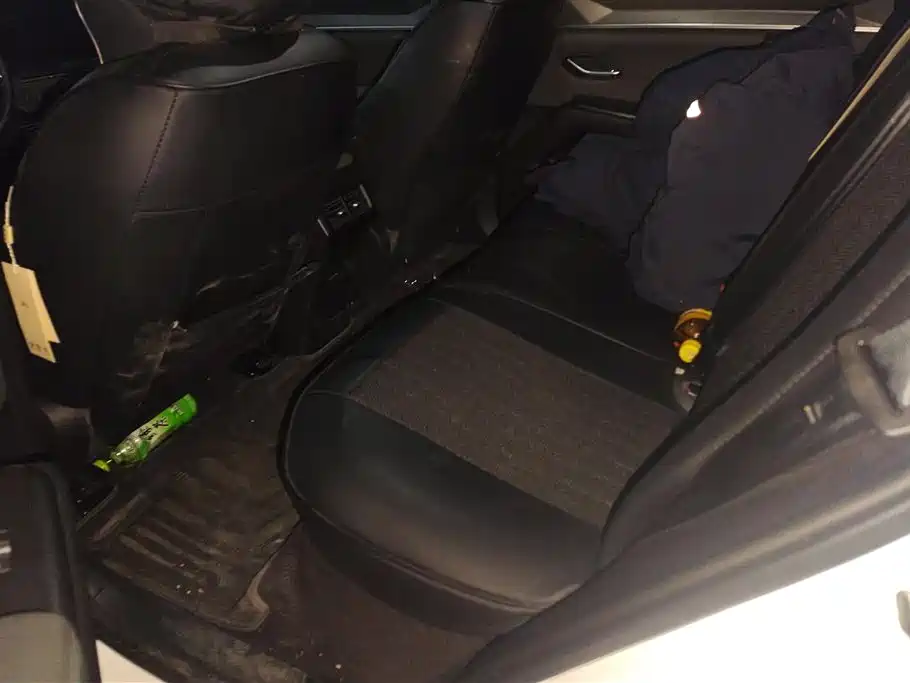 BYD SONGJIANG NEW ENERGY