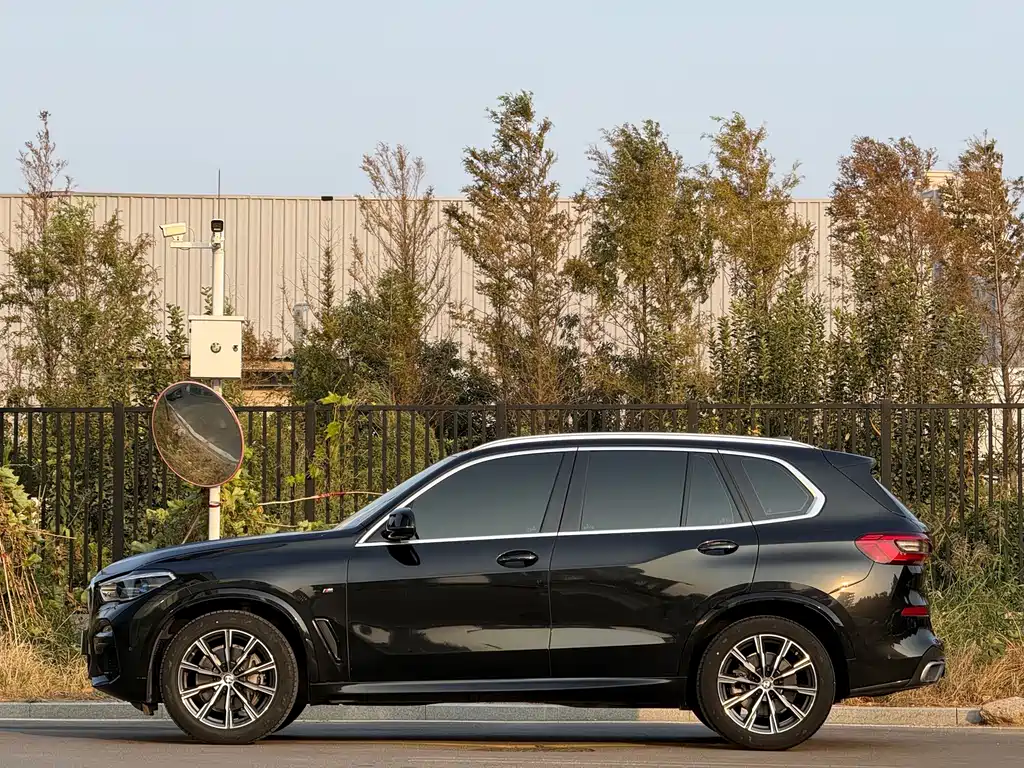 BMW X5 (Import) — миниатюра 2