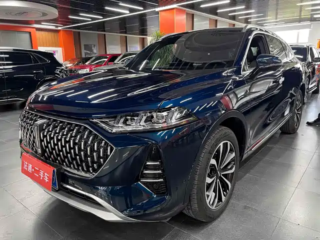 WEI PAI WEI BRAND MOCHA 2021