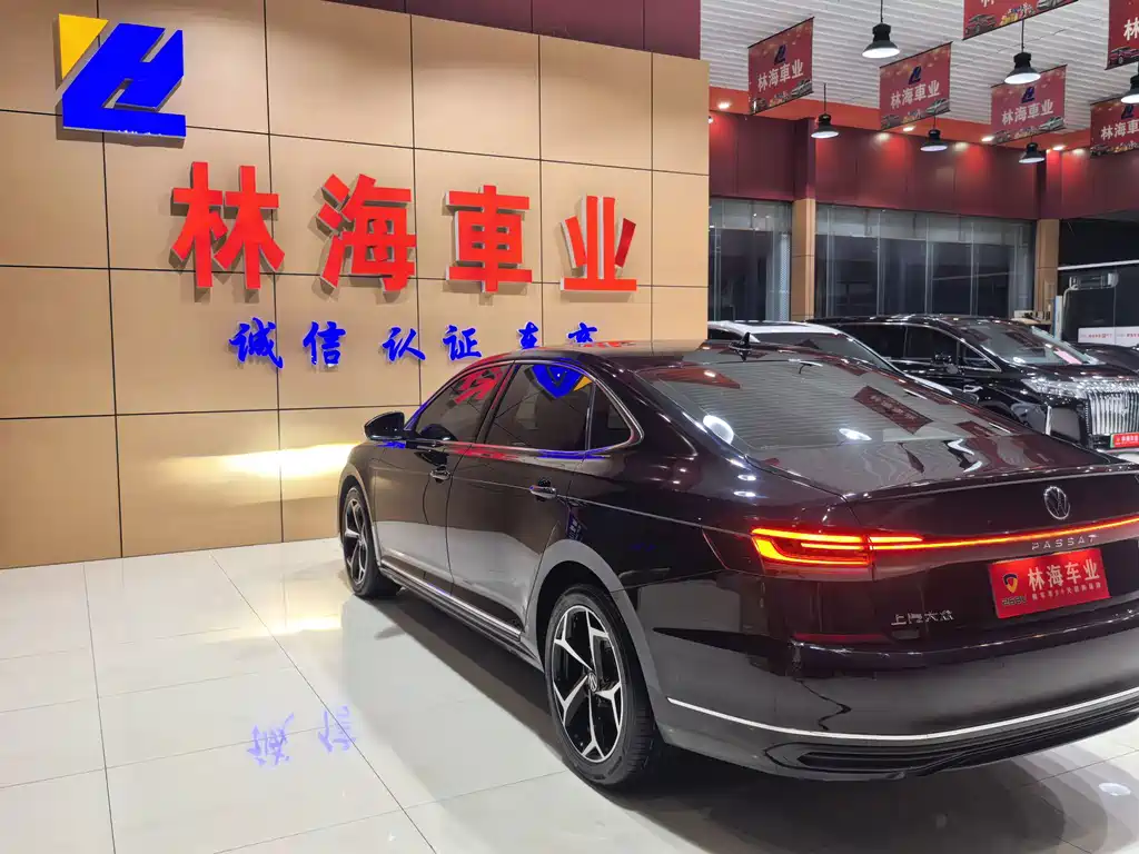 Volkswagen Passat — миниатюра 14