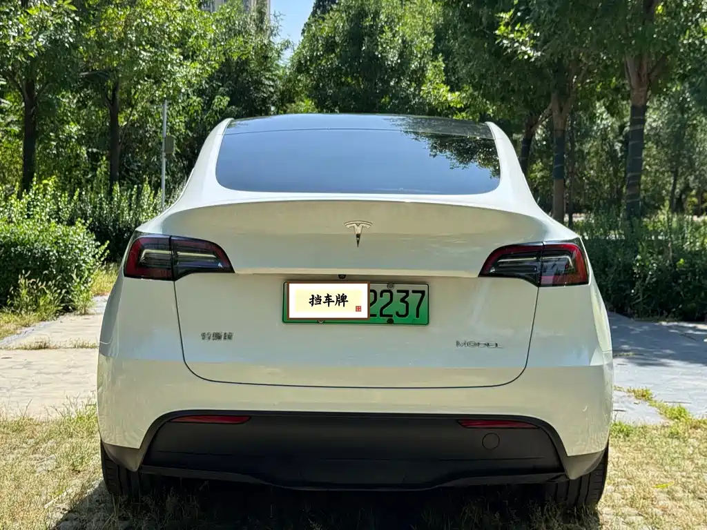 Tesla Model Y — миниатюра 17