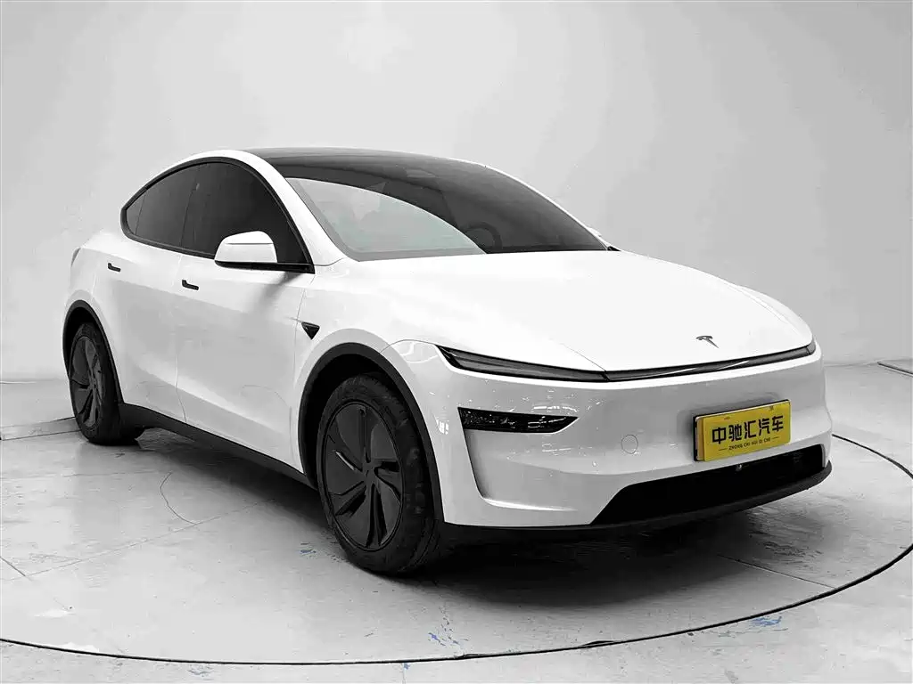 Tesla Model Y — миниатюра 3
