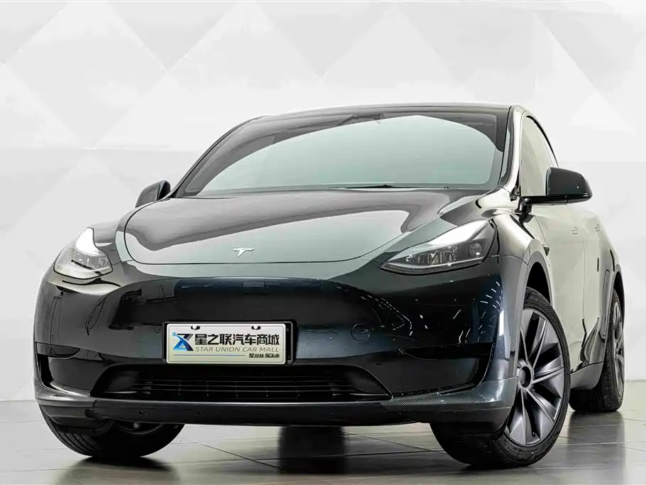 Tesla Model Y — миниатюра 3