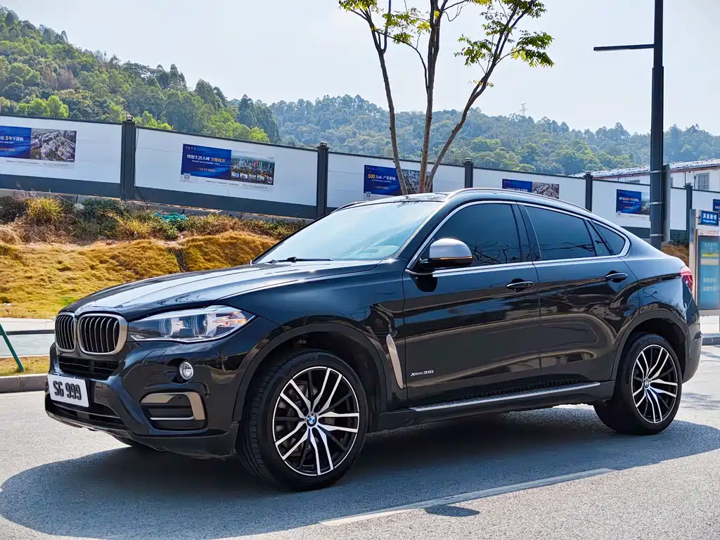 BMW X6