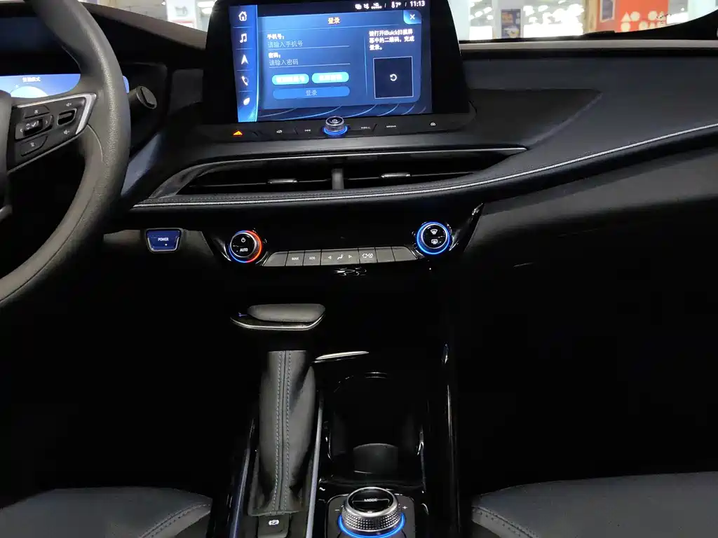 BUICK SLIGHTLY BLUE 6