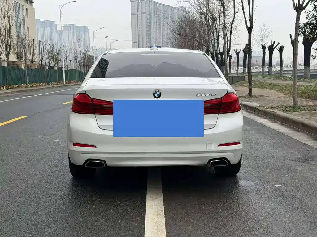 BMW 5 Series 5 2018 528Li