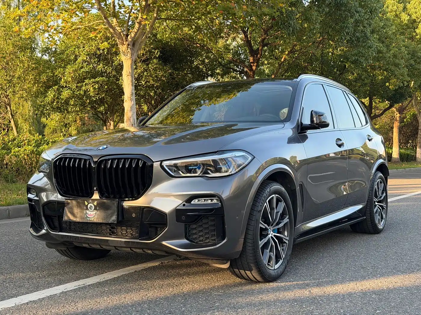 BMW X5 (Import)