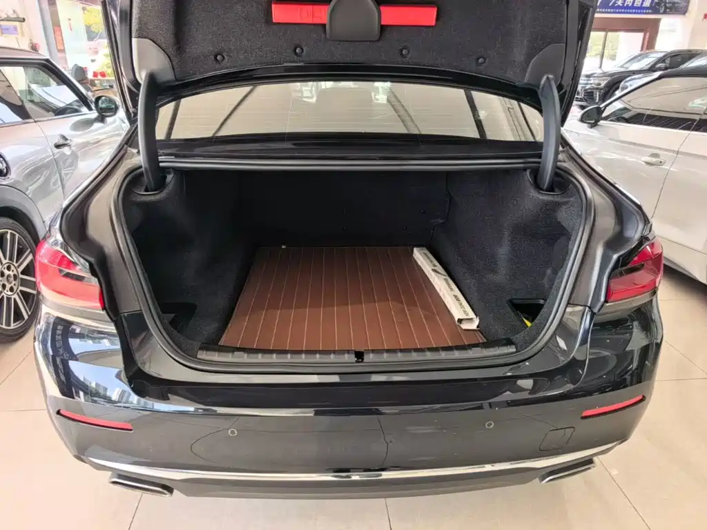 BMW 5 Series — миниатюра 19