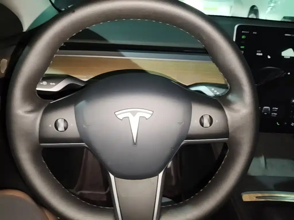 Tesla Model Y — миниатюра 11