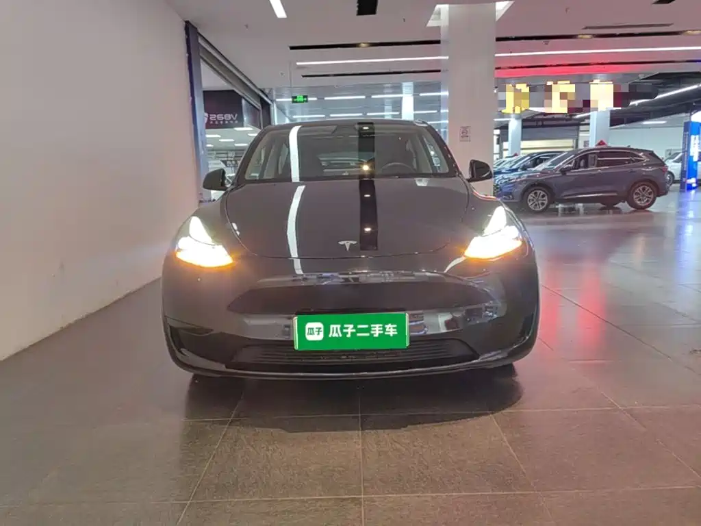 Tesla Model Y — миниатюра 3