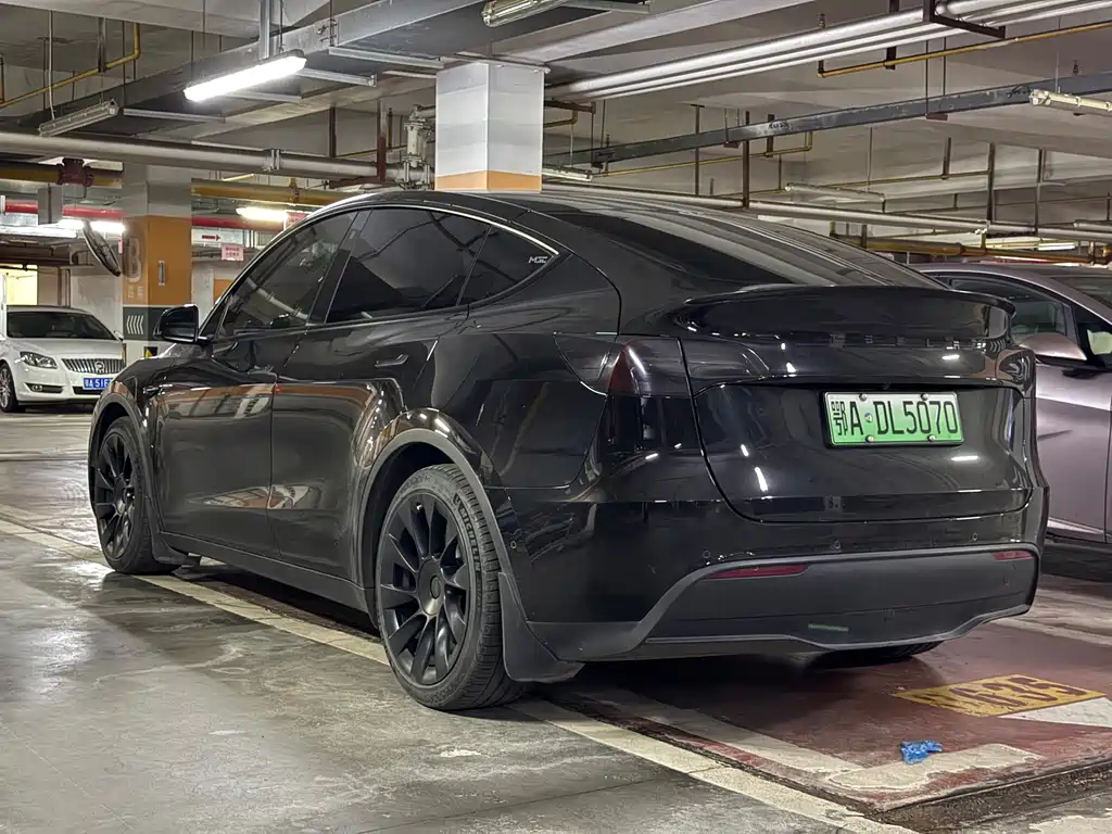 Tesla Model Y — миниатюра 15
